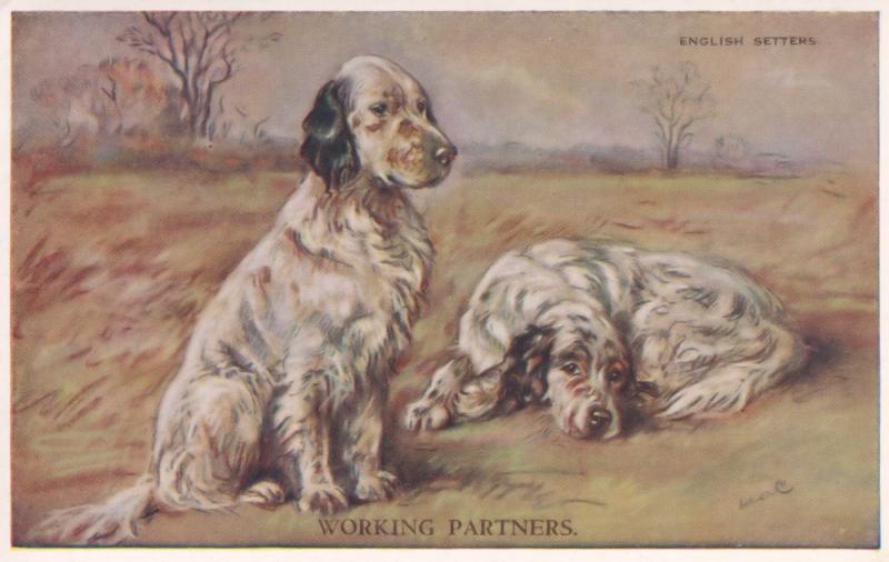 Working Partners English Setters Tailwagger Dog Vintage Postcard