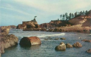 Oregon Boiler Bay View of Boiler Chrome Postcard Unused