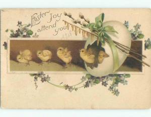Divided-Back EASTER CHICK SCENE Cute Postcard AA0794