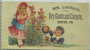 1880's-90's Wm. Laubach Dry Goods & Carpets Girl & Boy Butterflies Garden P91