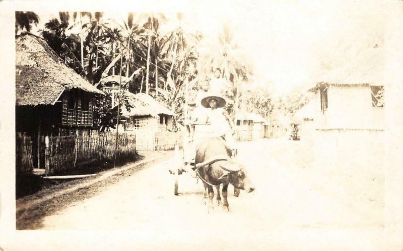 RPPC Caribou & Cart, Guam, M.I. Mariana Islands c1910s Vintage Photo Postcard