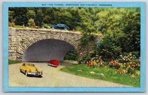 Vintage Postcard Tunnel Crosses Great Smokies Newfound Gap Highway Tennessee TN