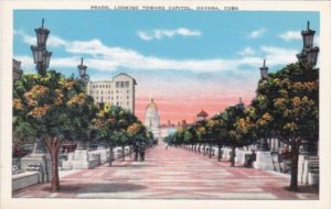 Cuba Havana Prado Looking Toward Capitol