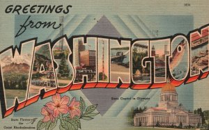 Vintage Postcard 1951 Greetings From Washington State Capitol Olympia & Flower