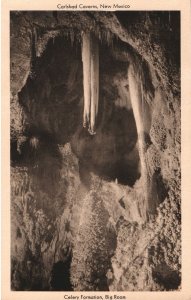 VINTAGE POSTCARD CELEREY STALK FORMATION BIG ROOM CARLSBAD CAVERNS NEW MEXICO