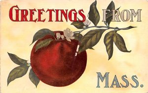 Greetings from Mass. apple on vine - Misc, Massachusetts MA  