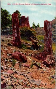 Petrified Trees at Yancey's, Yellowstone National Park Vintage Postcard B01