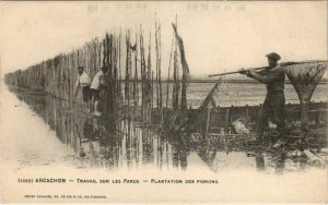 CPA ARCACHON-Travail sur les Parcs-Plantation des Pignons (27726)