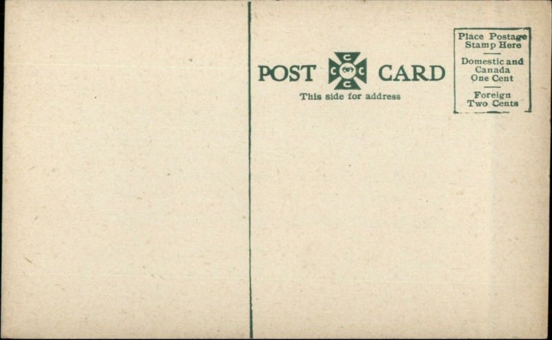 Bridge on Virginian RR Near Bluefield WV c1910 Postcard