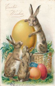 Easter Greetings - Rabbits Inspecting Colored Eggs - pm 1908 - DB - Tuck