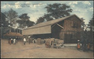 Germany SAGADE Cotton Farm Togo Colony Africa Postcard UNUSED 114233