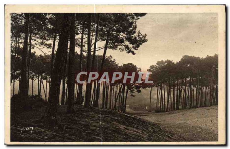 Old Postcard Arcachon The big dunes of the city & # 39hiver