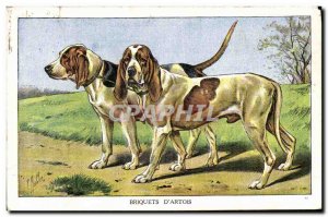 Postcard Old Dog Dogs Puppy of Lighters & # 39Artois
