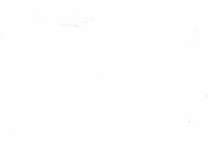 Michael Pacher - Singende Engel, real photo