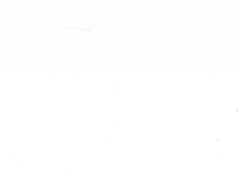 Michael Pacher - Singende Engel, real photo