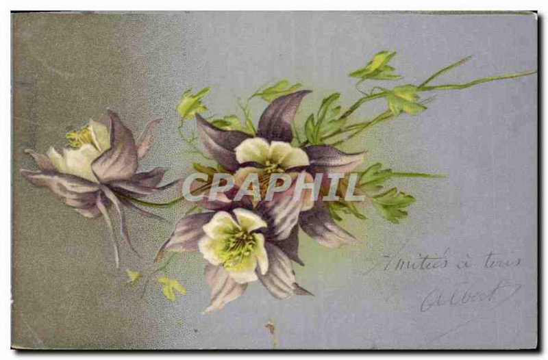 Old Postcard Fantasy Flowers