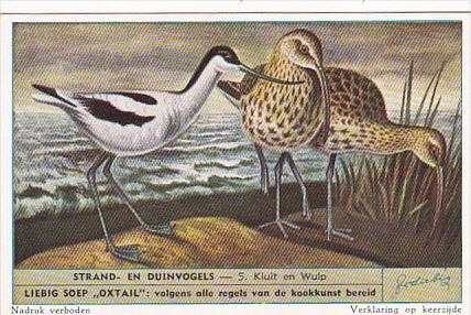 Liebig S1610 Birds Of Beaches and Dunes No 5 Kluit en Wulp