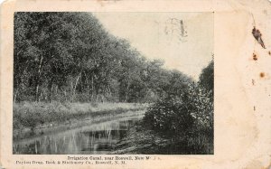 H18/ Roswell New Mexico Postcard 1912 Irrigation Canal Trees