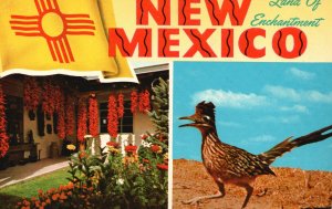 Postcard Mexico the Second Youngest State in Plateau Region of United States