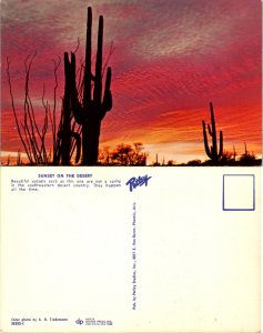 Sunset on the Desert (10486)