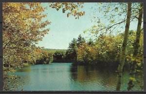 Peaceful Lake & Trees - [MX-502]