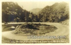 Real photo - New Foundland Gap Highway - Great Smoky Mountains National Park,...