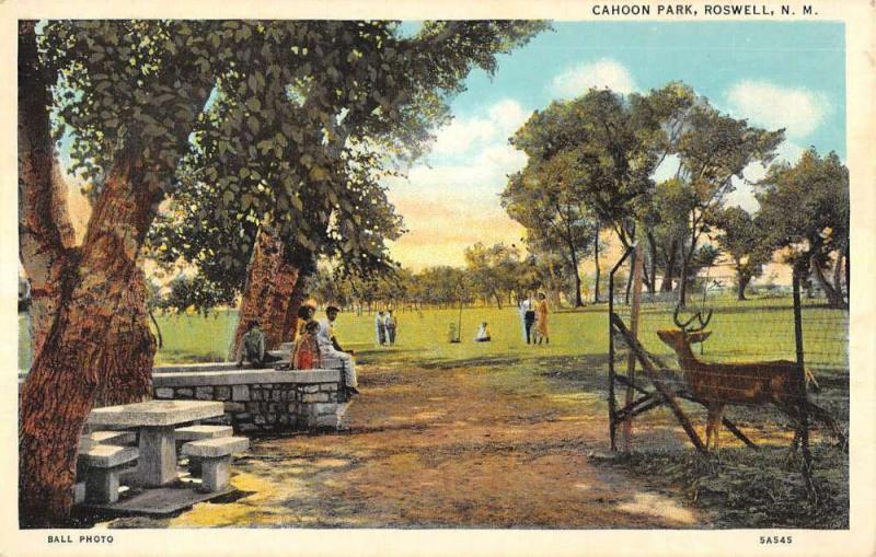 Roswell New Mexico Cahoon Park Scenic View Antique Postcard K78380