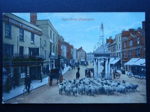 CHELMSFORD High Street THE QUEENS HEAD PUB & BADDOW BREWERY ALES c1906 Postcard