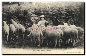 Old Postcard Folklore Petite Bergere Creusoise Sheep