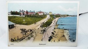 Dovercourt Essex Horses on the Promenade Vintage Antique Postcard 1905