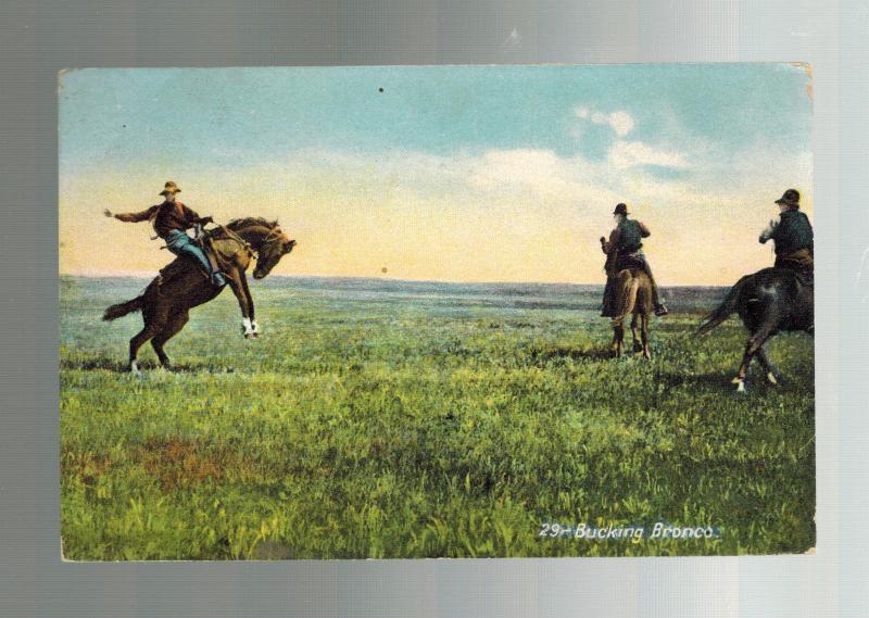 1912 Picture Postcard Cover Cowboy on Bucking Bronco Horse Winkler Canada 