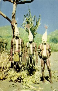 australia, NT, Native Aboriginals dressed for Corroboree in Arnhem Land Postcard