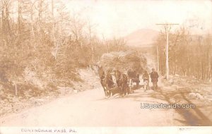 Horse Carrying Hay - Conyngham Pass, Pennsylvania PA  