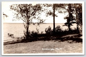 Vintage Postcard 1953 View of Higgins Lake Roscommon County Michigan Nature RPPC