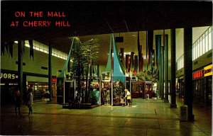 Postcard SHOP SCENE Cherry Hill New Jersey NJ AM8291