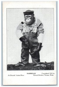 Tacoma Washington WA Postcard Harrigan Circus Ape Monkey With Pipe c1905 Antique