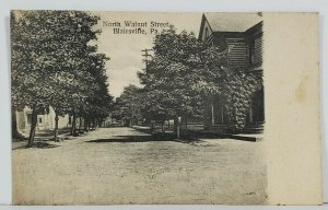 Blairsville Pennsylvania North Walnut Street c1910 Postcard N6