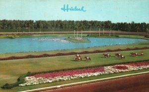 Vintage Postcard Beautiful Hialeah Race Course Miami Florida FL Gulfstream Card