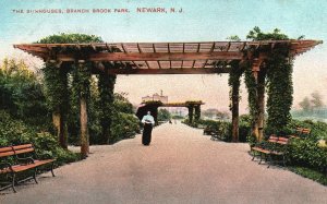 Vintage Postcard 1908 The Sunshouses Branch Brook Park Newark New Jersey N.J.