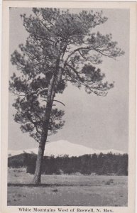 White Mountains West of ROSWELL, New Mexico, 1900-1910s