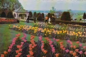 Pennsylvania Hershey Gazebo and Tulips In Hershey Gardens