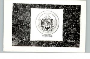 Hibiscus HI Seal Postcard
