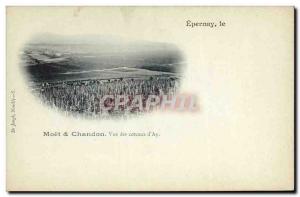 Old Postcard Folklore Wine Vineyards Champagne Moet et Chandon view of the hi...