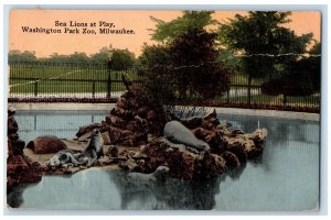 1916 Sea Lions At Play Washington Park Zoo Pond Rock Fence Milwaukee WI Postcard