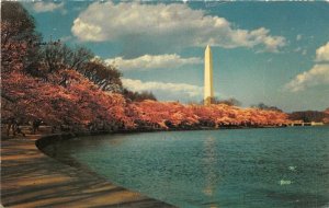 US5955 the washington monument the white marble  usa