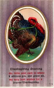 Thanksgiving With Turkey