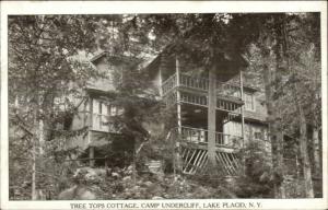 Lake Placid NY Camp Undercliff Tree Tops Cottage Postcard