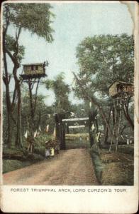 India? Forest Triumphal Arch Lord Curzon's Tour c1910 Postcard