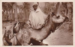 Africa Jeune Chamelier Boy With Camel Real Photo