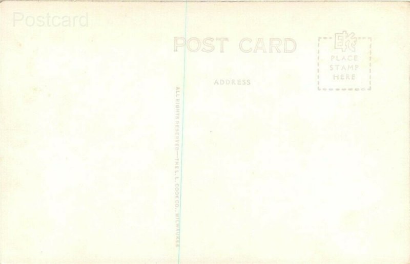 MO, Springfield, Missouri, Rainbow Falls, L.L.  Cook No. No. 37448, RPPC